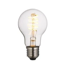 Globe Clear Glass Bulb