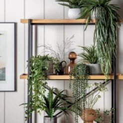 Refreshen-up Open Display Unit -Furniture Sales Store pp22986686 ld1