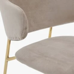 Ritzy Dining Chair In Taupe - Set Of 2 -Furniture Sales Store pp23280108 pd1